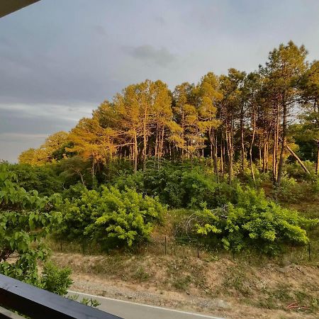 One Bedroom Apartment In G Life Sozopol Luaran gambar